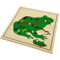 Animal Puzzle: Frog (Plywood)