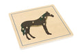 Animal Puzzle: Horse (Plywood)